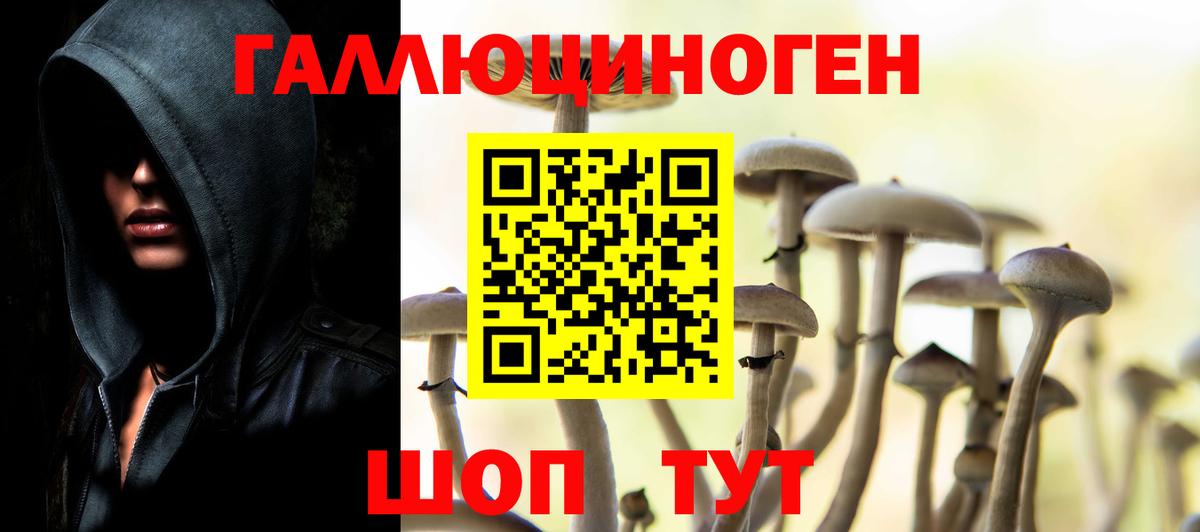 Галлюциногенные грибы мухоморы Сибай